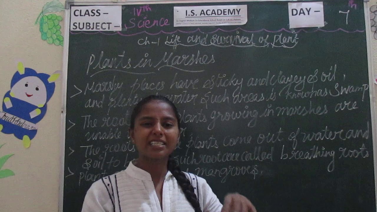 SCIENCE CLASS 4 PART 7 I.S.ACADEMY,ALWAR YouTube