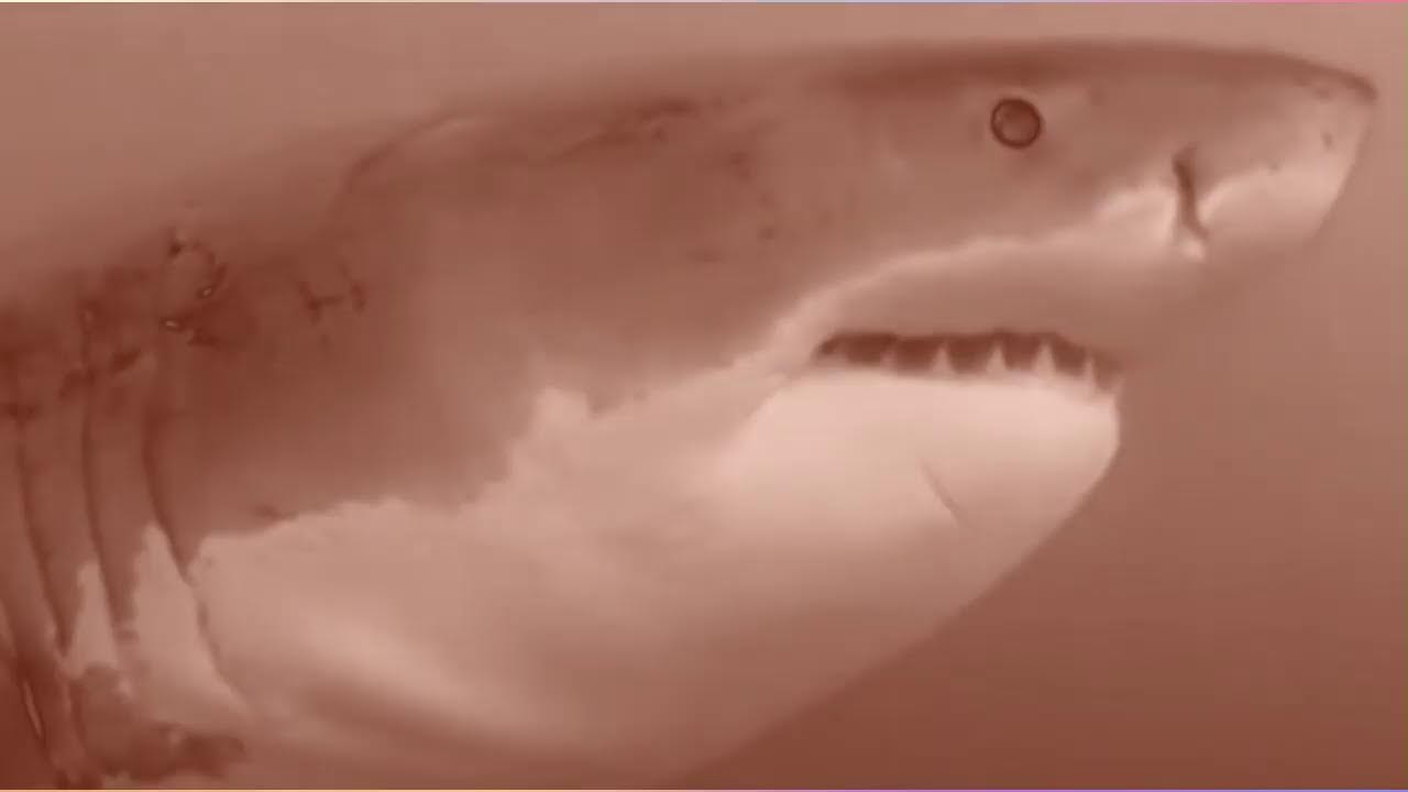 MIC CHECK 212 - BEAT NEWS