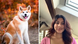 All Things to know about Akita Shepherd latest updated video 2023