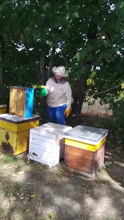 День святого миколая 2025 весняний