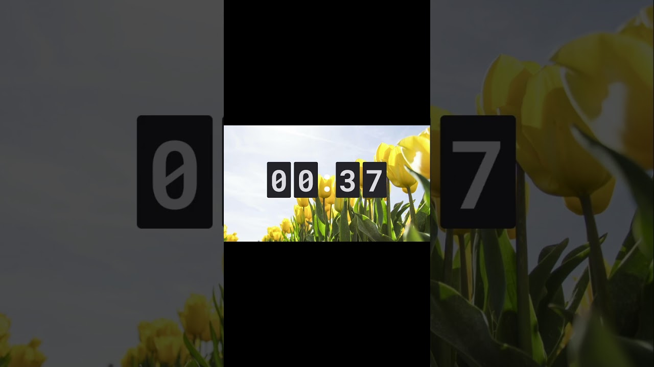 Simple 1 Minute Timer – Perfect for Breaks or Focus Time 