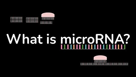What is microRNA? (miRNA)