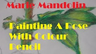 Marie Mandolin ~ Painting A Rose With Pencil Video One
