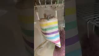 【やっと入った】フクロモモンガが手作りの寝床ポーチに入ってくれた