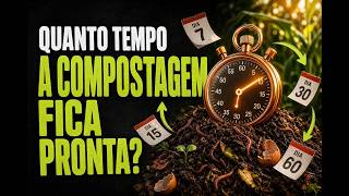 As 3 fases e o tempo da compostagem