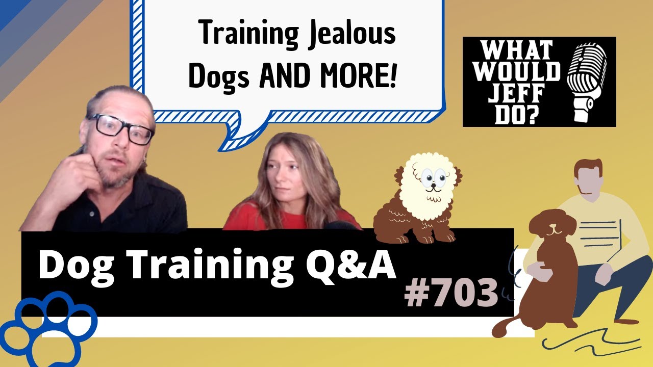 Dog Training Q&A Jealous Dogs What Would Jeff Do? Ep.703 (2020