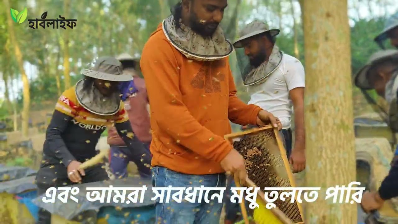 Sherpur Wild Flower Honey Collection