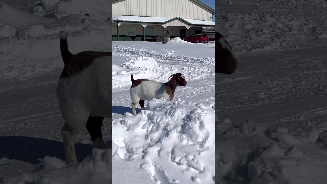 MW8 Westfall’s catch my breath!