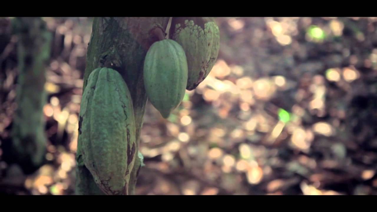 The Chocolate Song - Ça c'est le Max ! - YouTube