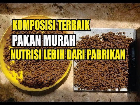 Cara Buat Pelet Lele