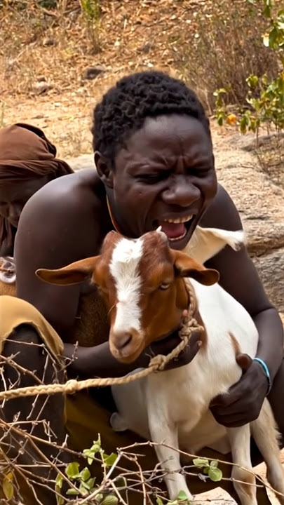Chaaba laughing like Goat | Hadzabe Tribe #shorts #africa #wildlife