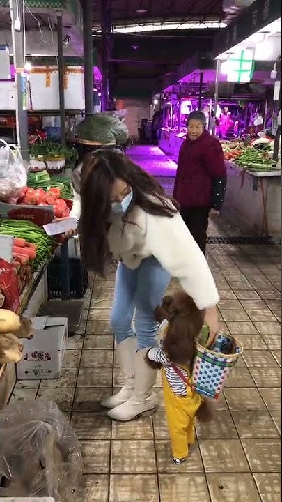 Собака, которая ходит на двух ногах, стала звездой тик-тока😁 - YouTube