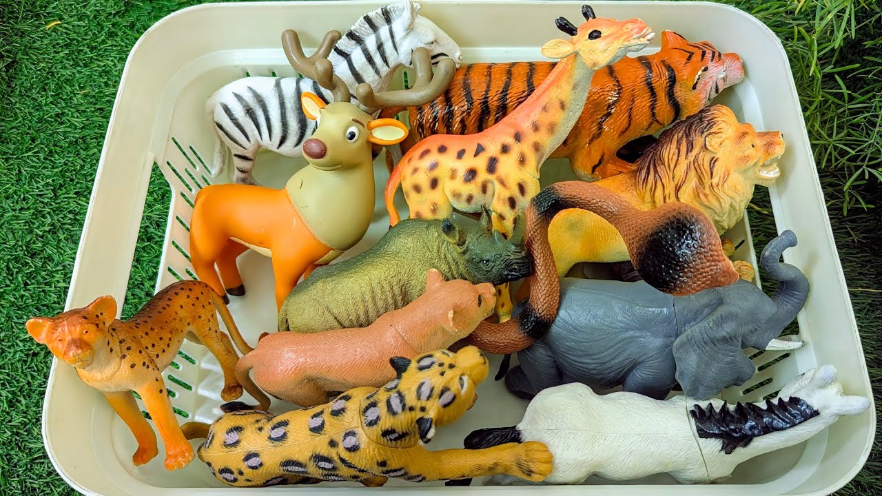 Wild Animals Surprise for Kids | Learn Animal Names & Sounds for Toddlers