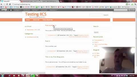 Blogging: Tag Clouds and Posting too Fast
