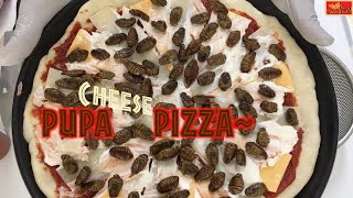 Pupa Cheese Pizza번데기 치즈피자