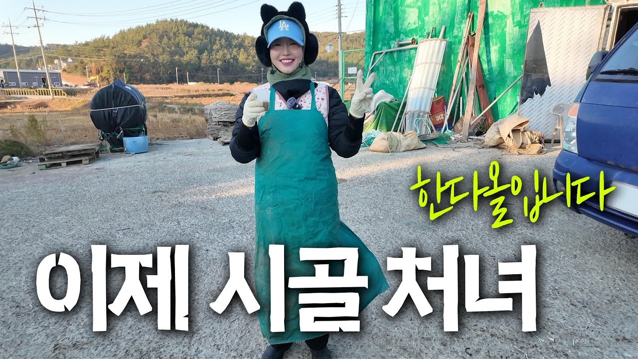 수백마리가 잡히는 대형그물! 대박 입니다