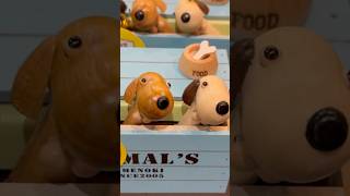 강아지와 고양이 #고양이 #강아지 #하찮은 #오르골 #귀염뽀작