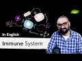 Immune system  humoral immunity  cell mediated immunity  cytokines  basic science series
