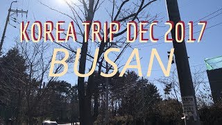 Winter In Korea - Pt Ii Busan Dec 2017