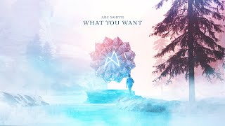 Arc North - What You Want [Official Lyric Video]