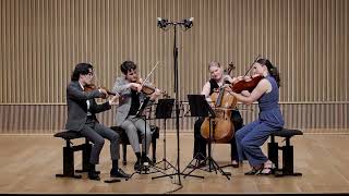 Brahms String Quartet No. 2 in A minor, Op. 51/2