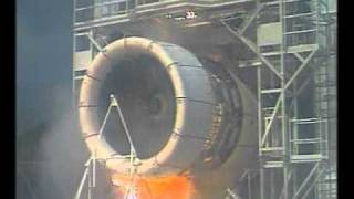 Blade Off Test or What Birds Do to Plane Engines