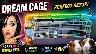 🐹 Ultimate Guinea Pig Cage Setup Tour 2026 | The Perfect Spacious Habitat for Happy Guinea Pigs!