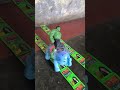 #funny #toys #automobile #matti #farmingtoys #elefante #and#halk #viral#video