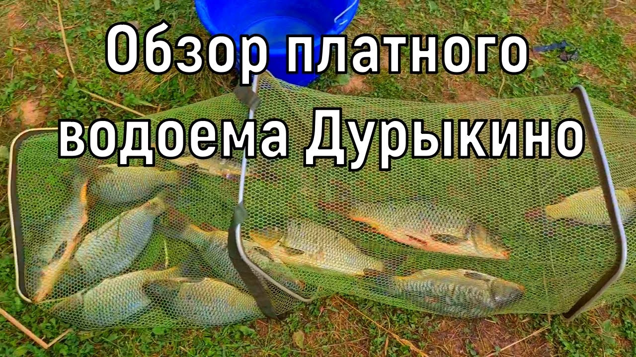 Дурыкино рыбалка русфишинг