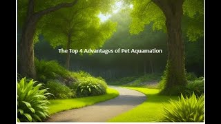 The TOP 4 Advantages of PET AQUAMATION