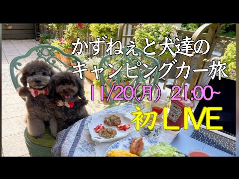 かずねぇと犬達のキャンピングカー旅　初ライブ配信です