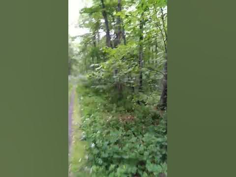 Уносимся) - YouTube
