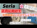 【100均】Seriaセリア新商品！正月に向けて和柄商品はいかがでしょうか？ねこちゃんやわんちゃんのお顔のお皿もあるよ！おすすめ 人気