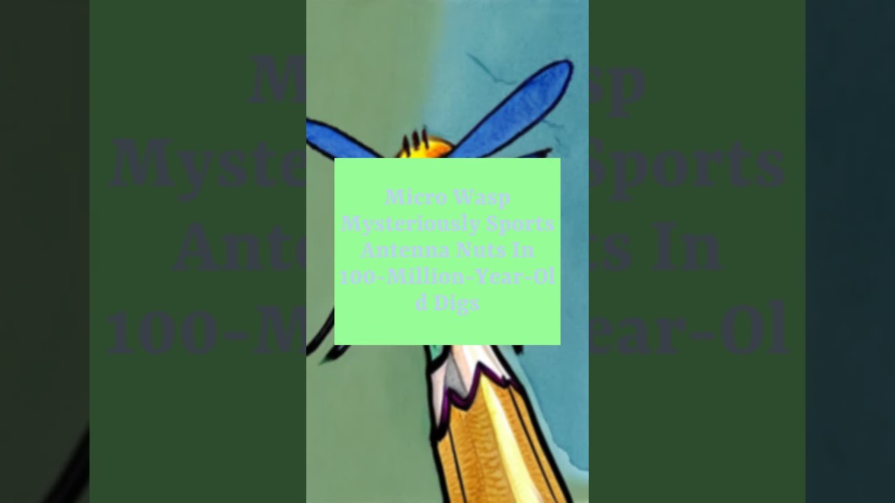 Micro Wasp Mysteriously Sports Antenna Nuts In 100-Million-Year-Old Digs