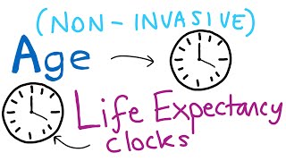 New tools to explore aging interventions (biological clocks)