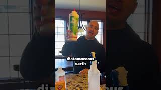 Fastest Way to Eliminate Bed Bugs!