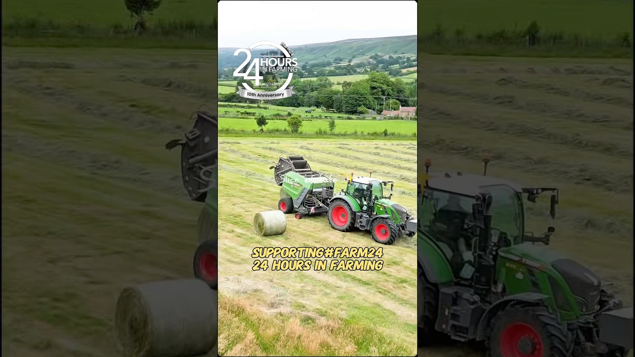 Solo Farmer Shares the Real Life Behind British Farming 🇬🇧🐑 