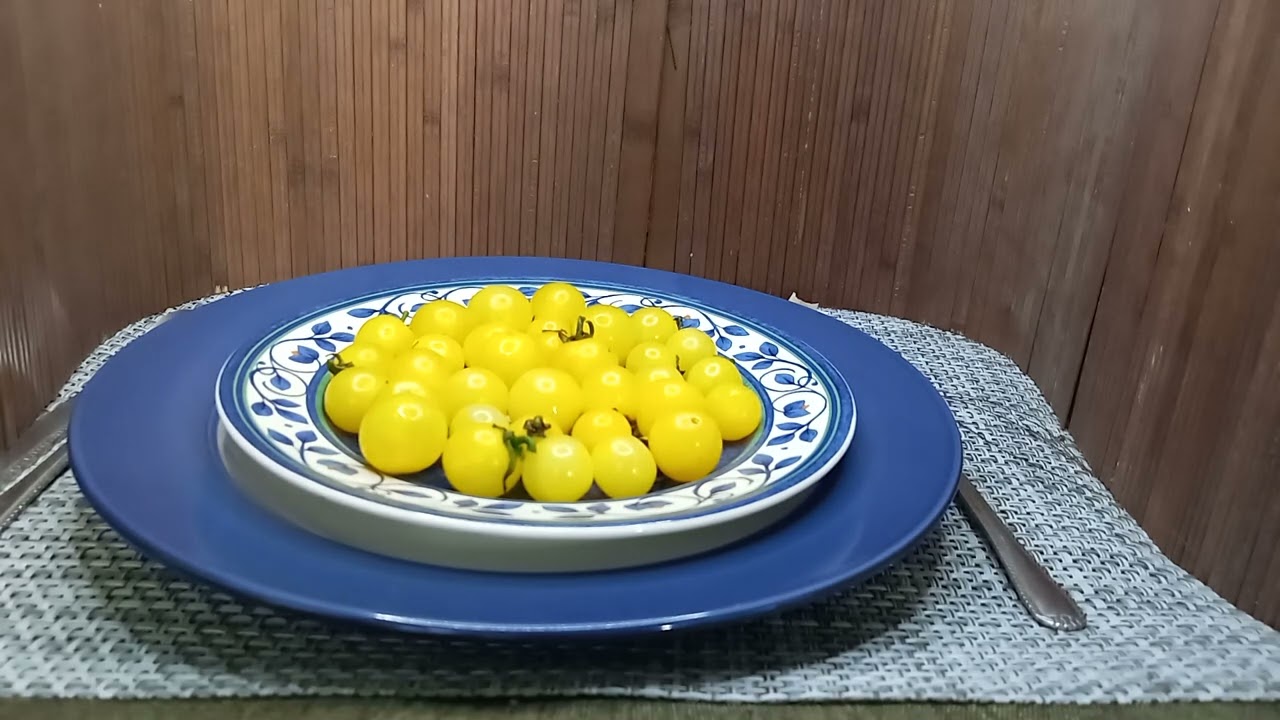 Monetka Micro Dwarf Tomato Seeds Available At Bounty Hunter Seeds com