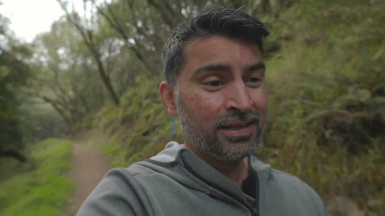 Пешие прогулки и практика лесной терапии синринёку || Тропа Редвуд-Крик || Район Мьюир-Вудс