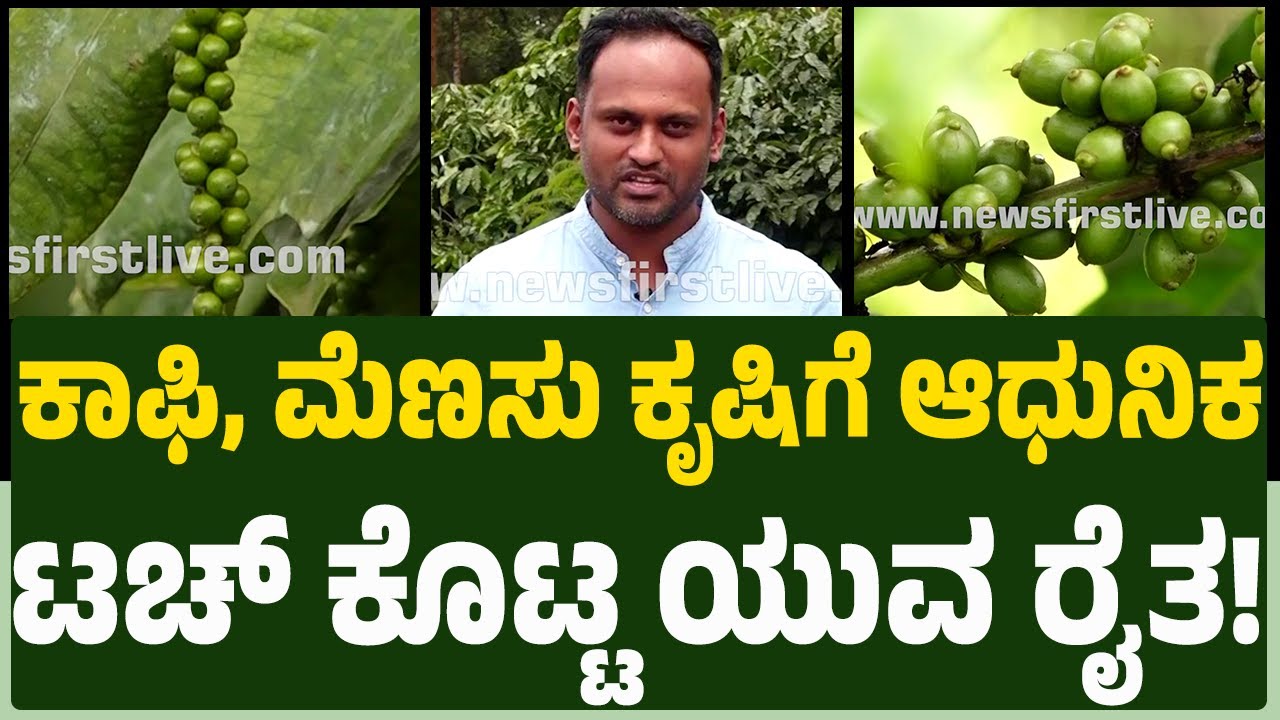 Karthik PG : ಸುಲಭವಾಗಿ ಉತ್ತಮ ಬೆಳೆ, ಉತ್ತಮ ಆದಾಯ ಹೇಗೆ ಗೊತ್ತಾ? | Coffee Plantation | Krishi Devobhava