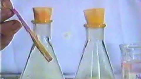 PHẢN ỨNG CỦA CLO (Cl) VỚI NƯỚC (H2O) ll Ông giáo dạy hóa