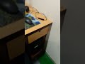 My New Workplace আমার নতুন কর্মস্থল