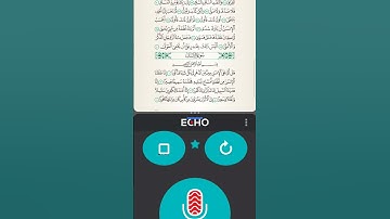 #سورة_القيامة كلا بل تحبون العاجلة