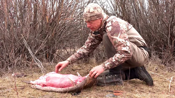 How to Skin a Beaver with Steven Rinella