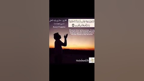 قراءة جميله جدا جدا من سورة فصلت القارئ مشاري وليد البغلي