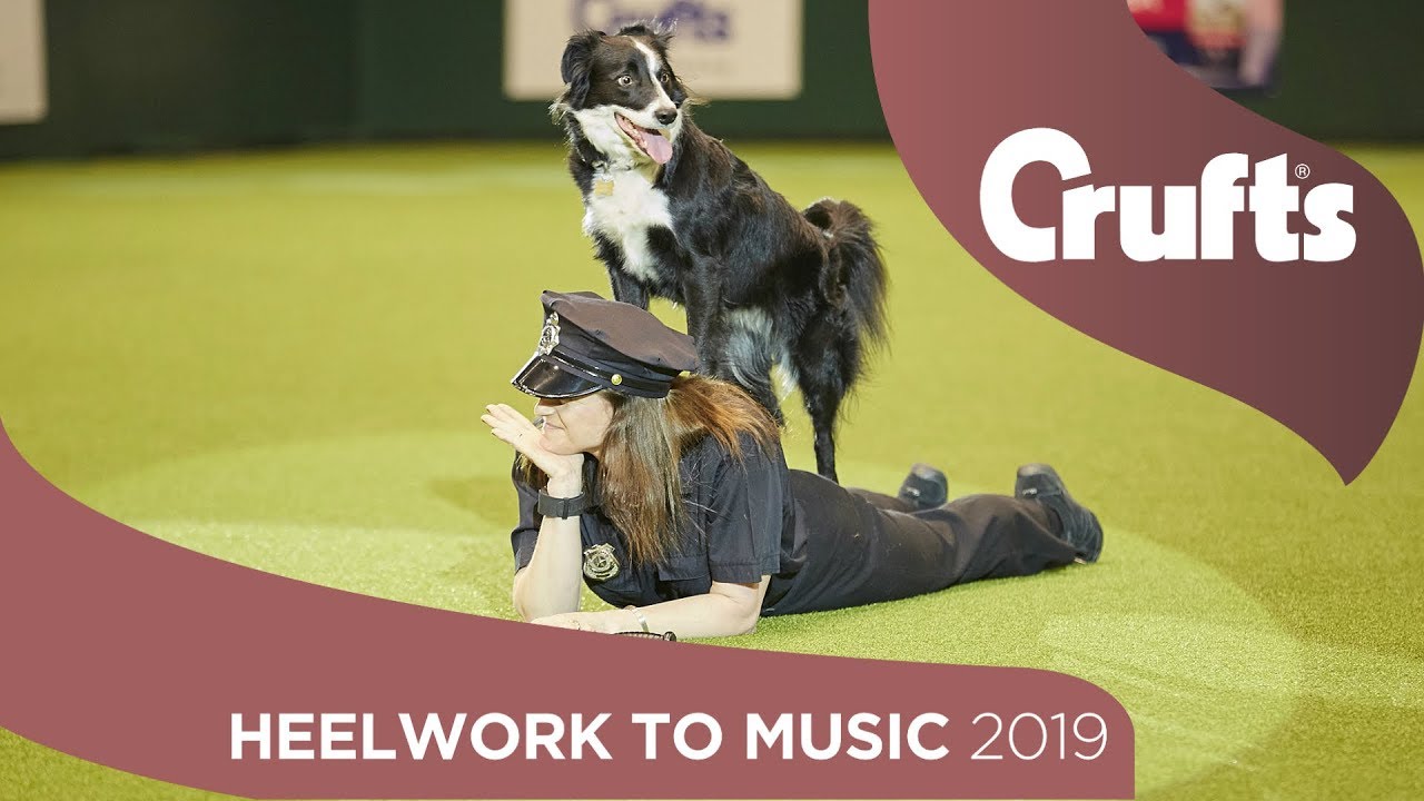 crufts dancing dogs 2019