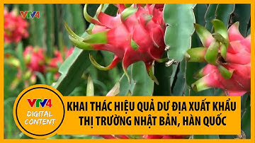 Khai thác hiệu quả dư địa xuất khẩu tại thị trường Nhật Bản, Hàn Quốc | VTV4
