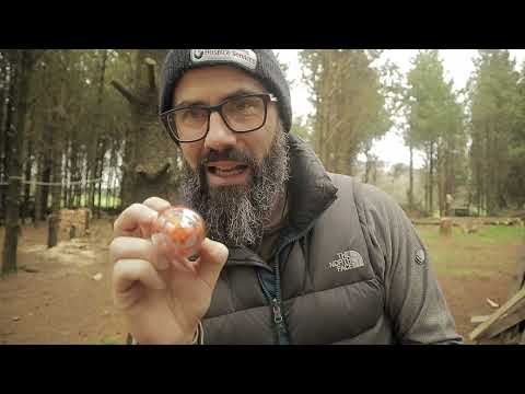 Camping Gear That