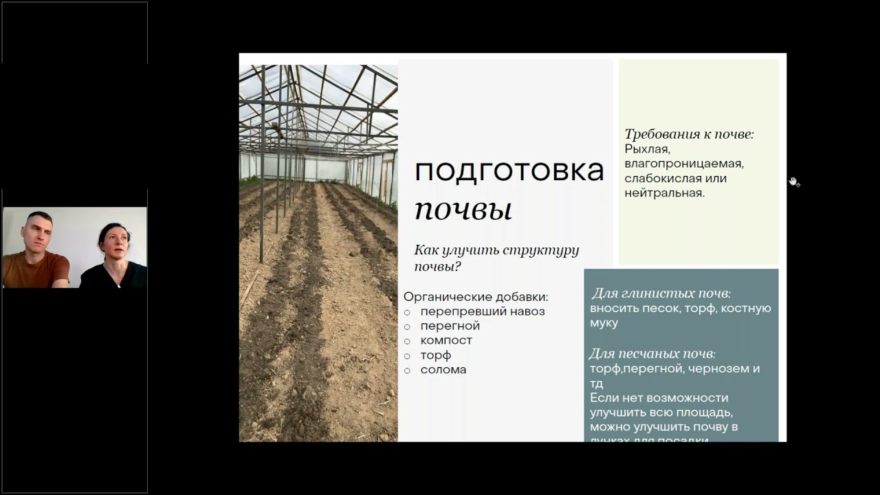 Вебинар по выращиванию георгинов Fluffy Flower Farm