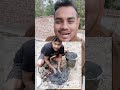 food vlogger #youtubeshorts #funny #duet #food #foryou #shorts